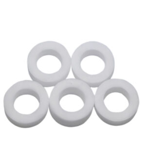 Micro Filter for Universal Chlorine Filter (5 pack)